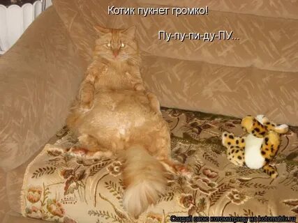 Сколько ни лежи