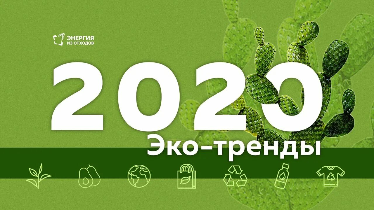 Эко майкоп. Экологические тренды. Тренд на экологичность. Эко тренды 2022. Новые экологические тренды.