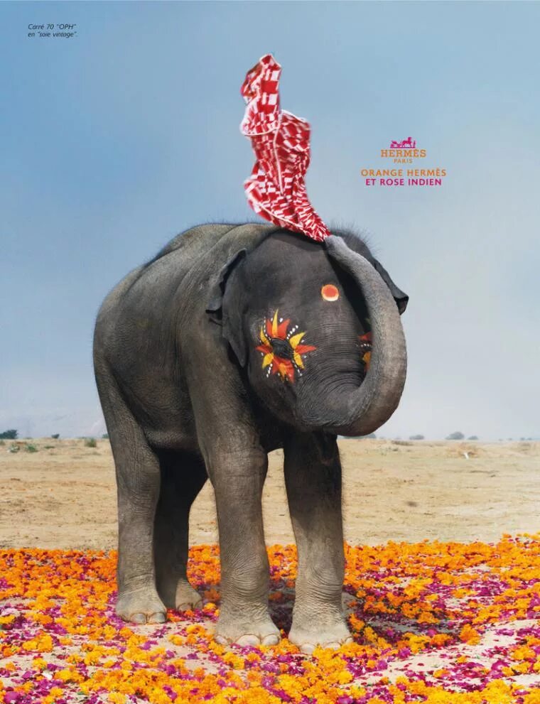 Слоник без рекламы. Слон в рекламе. Слон Hermes. Креативная реклама со слоном. Индийская реклама смешная.