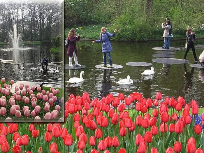 День в парке слова. Европейский день парков. Европейский день парков 24 мая. Парк днем. Европейский день парков картинки.