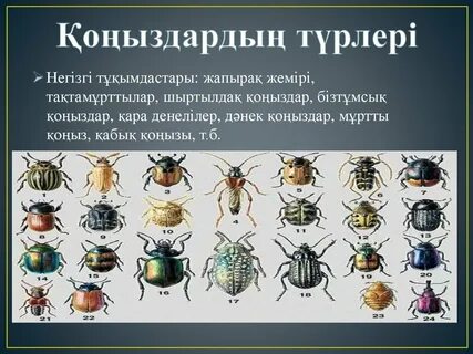 Анальды жыныстық қатынастың ерекшеліктері