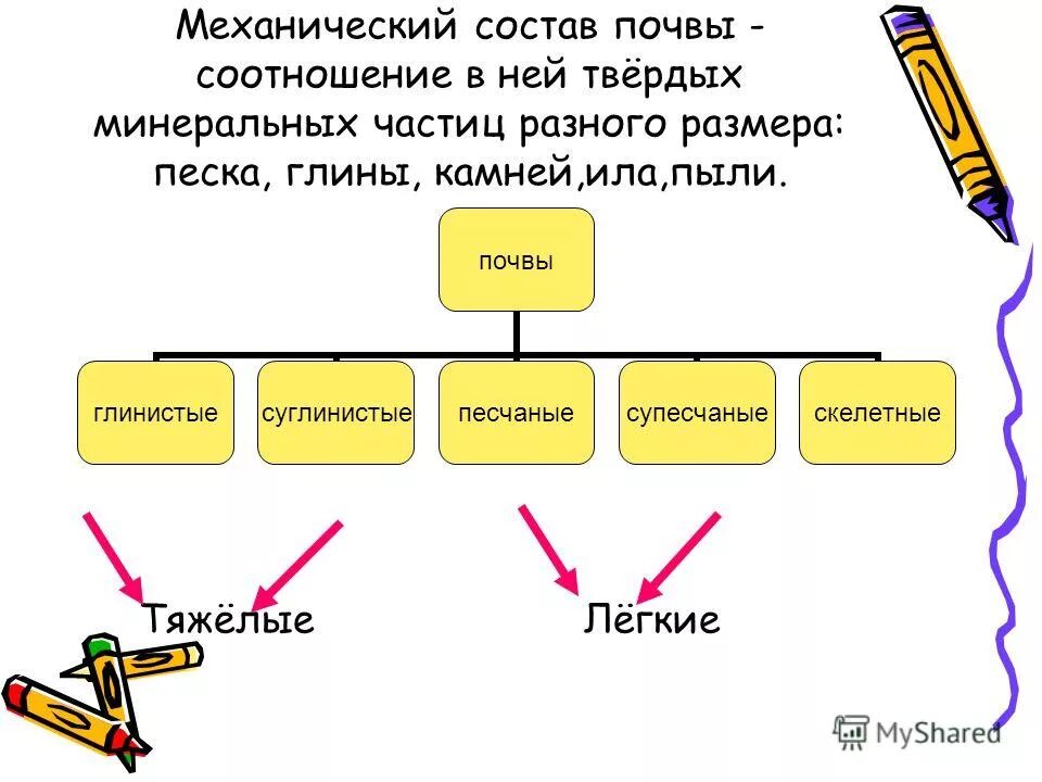 Твердые минеральные частицы. Механический состав почвы схема. По механическому составу почвы делятся.