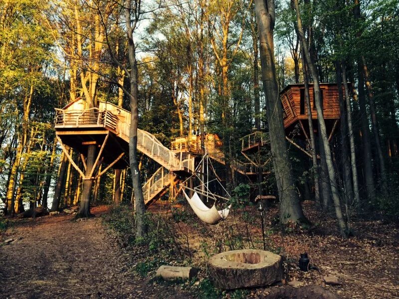 Дом на дереве, пуатье отель. Лапочкино гнездо дом на дереве подмосковье. Лапочкино гнездо дом на дереве подмосковье. Дом на дереве тульская область. Агротуристический комплекс эко ранчо алексеевка московская область.