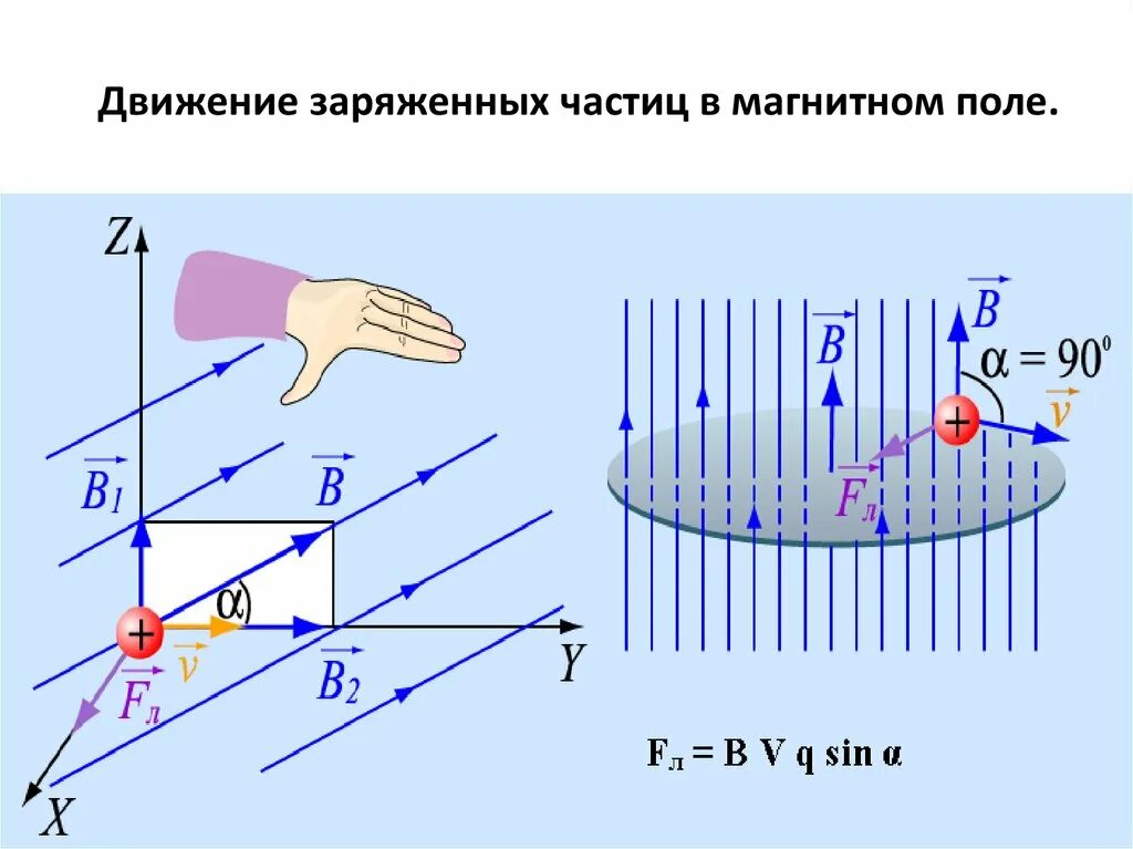 На электрон движущийся в магнитном поле действует. Сила лоренца для частицы в магнитном поле. правил левой руки физика. правило левой руки руки физика. направление силы магнитной индукции и силы лоренца.
