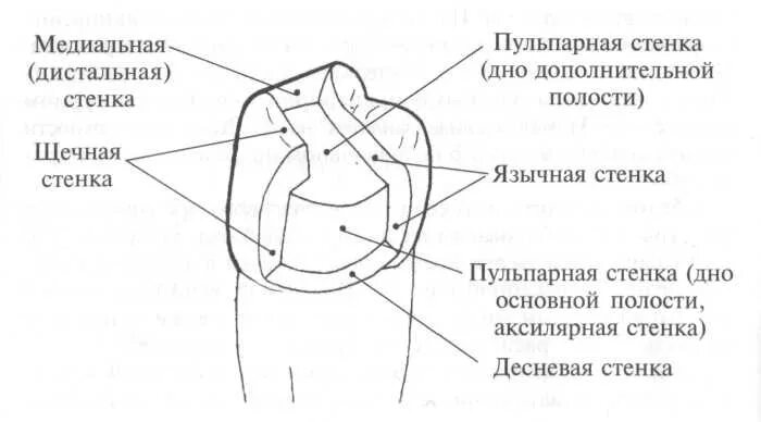 Как называется поверхность зуба
