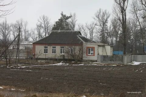 Погода в маслове