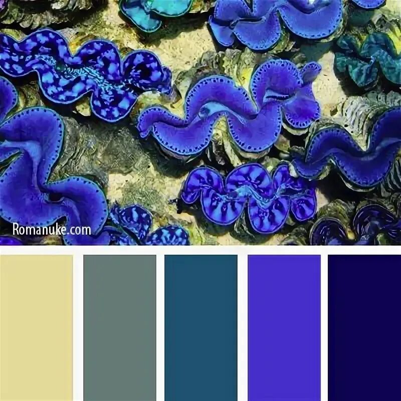 Королевский синий цвет сочетание Pin on Что надеть..! Blue colour palette, Color inspiration, Color schemes colo