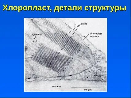 Структура детали