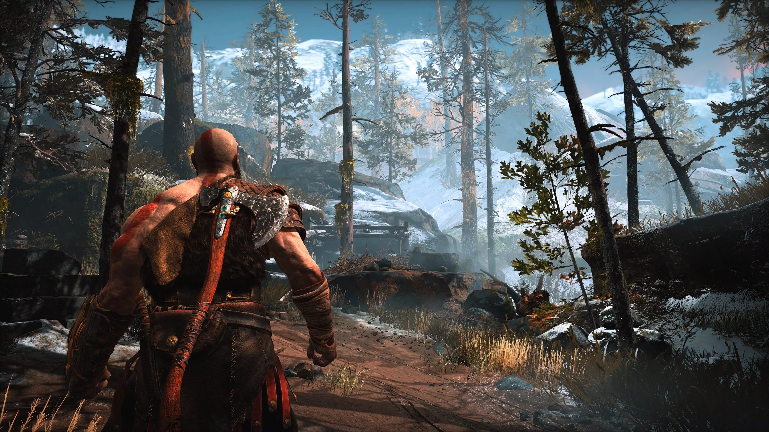 The witcher 3 next gen update