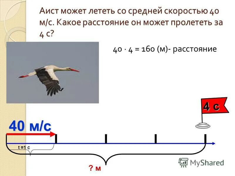 аист может лететь со скоростью 600. аист может лететь со скоростью 600. скорость полета аиста. аист может лететь. чертеж к задаче.