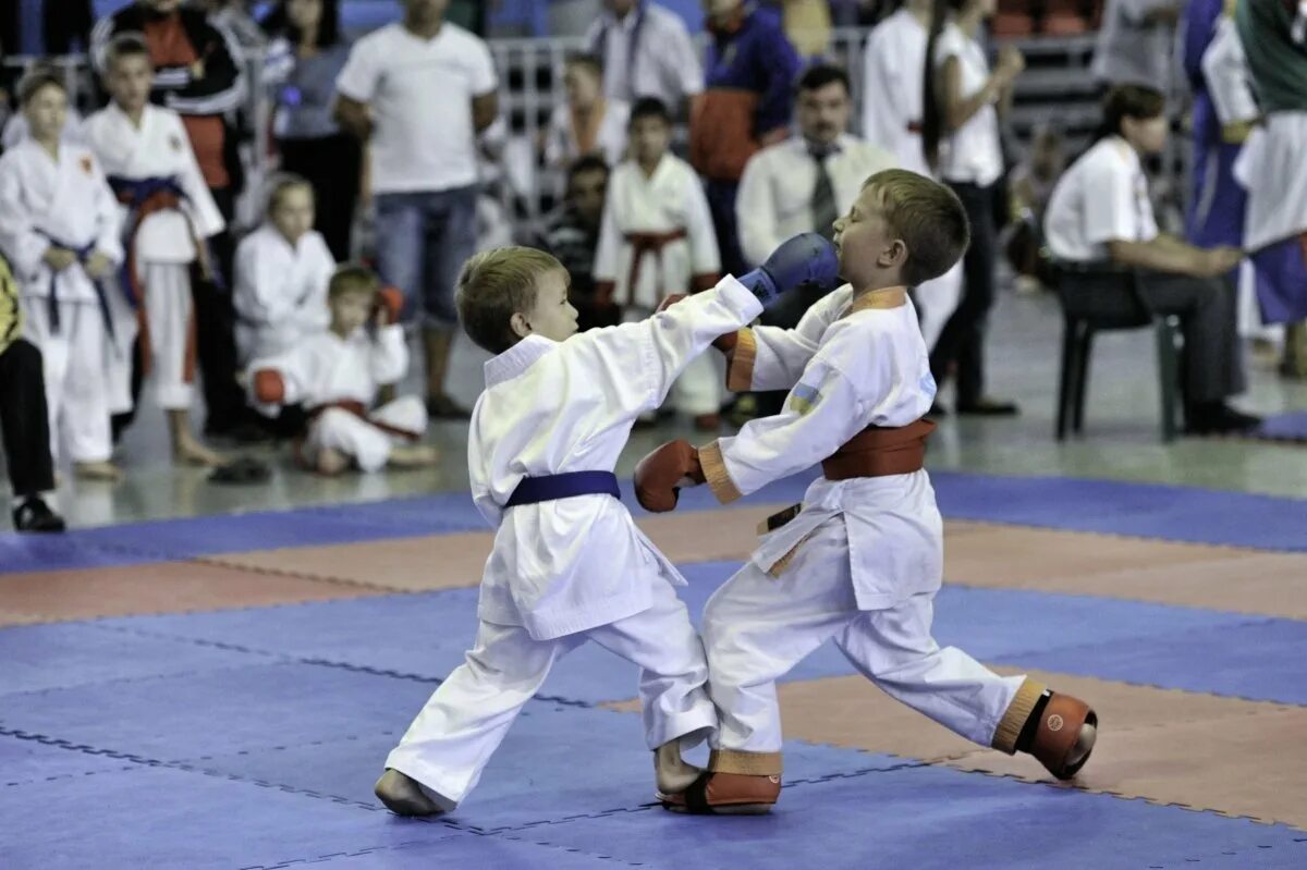 Каратэ кумитэ дети. Каратэ WKF кумитэ дети. Соревнования каратэ WKF. Karate WKF дети