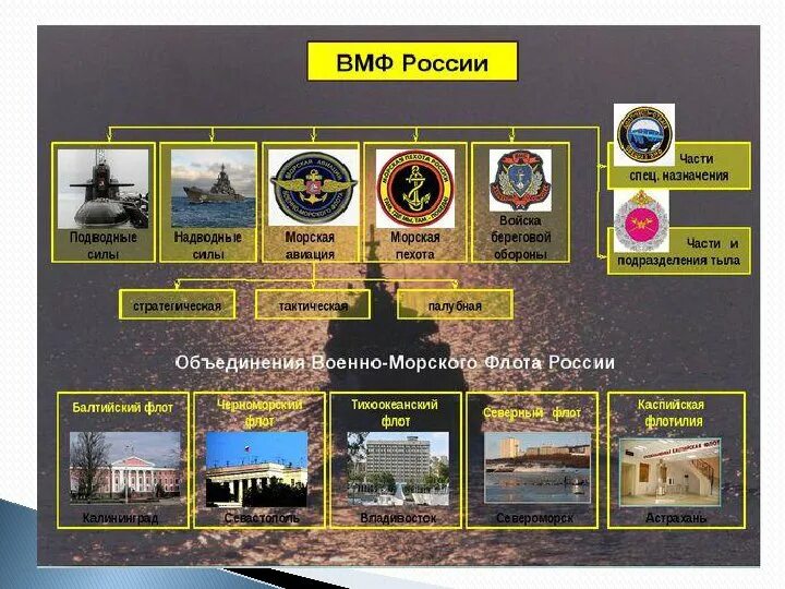 Организационная структура военно морского флота вс РФ. Структура ВМФ вс РФ. Организационная структура ВМФ вс РФ. Структура ВМФ РФ схема.