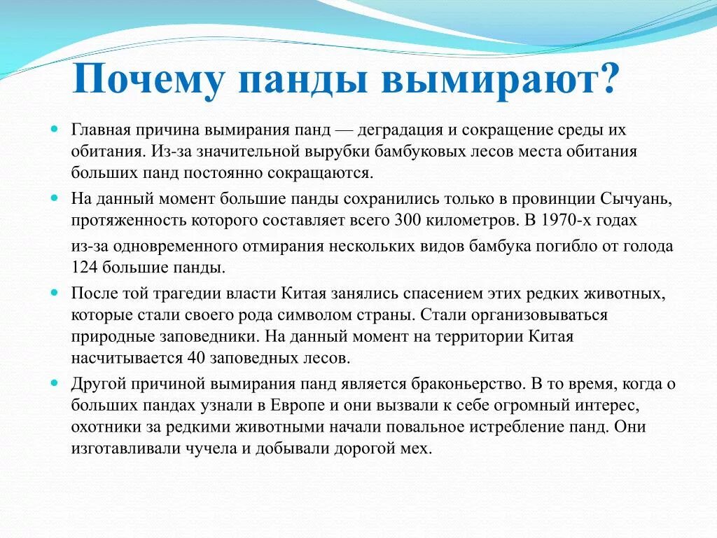 Почему пропала информация. Красная Панда причины вымирания. Почему панды вымирают. Почему большие панды вымирают. Причины вымирания большой панды.