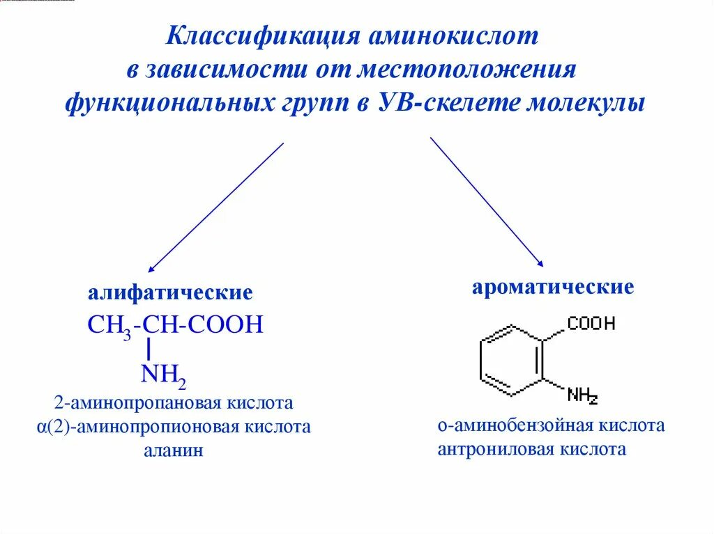 Функциональной группой аминов является. Классификация аминокислот ароматических аминокислоты. Классификация аминокислот по функциональным группам. Алифатические и ароматические аминокислоты. Ациклические (алифатические) аминокислоты.