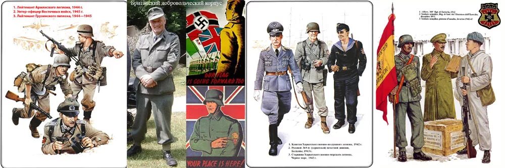 добровольческий корпус