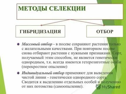 Применение массового отбора