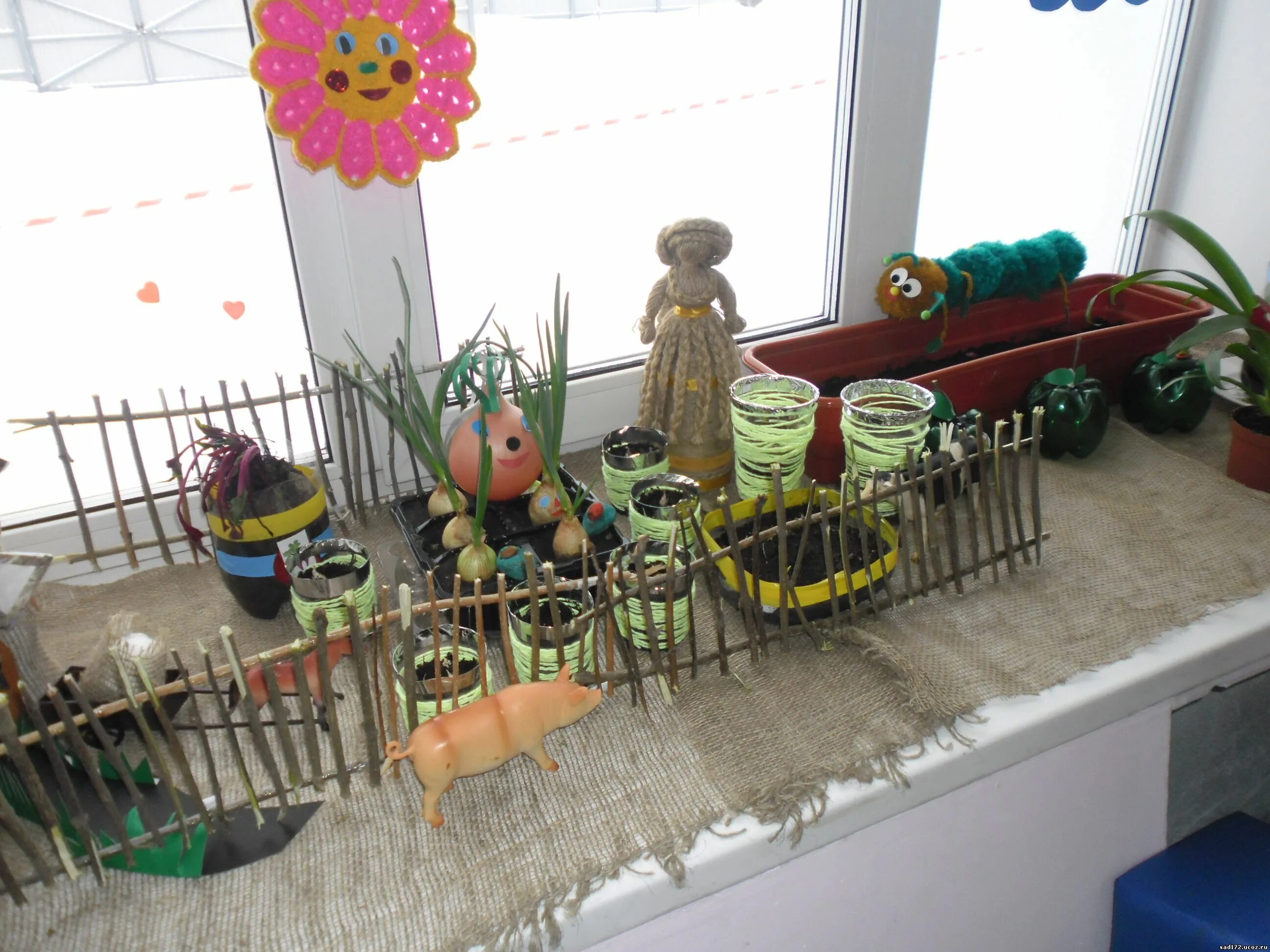 Огород в ясельной группе. Огород ес окне в детскои саду. Огород на окне в детском саду ясельная группа. Огород на подоконнике в саду. Огород на подоконнике в саду.