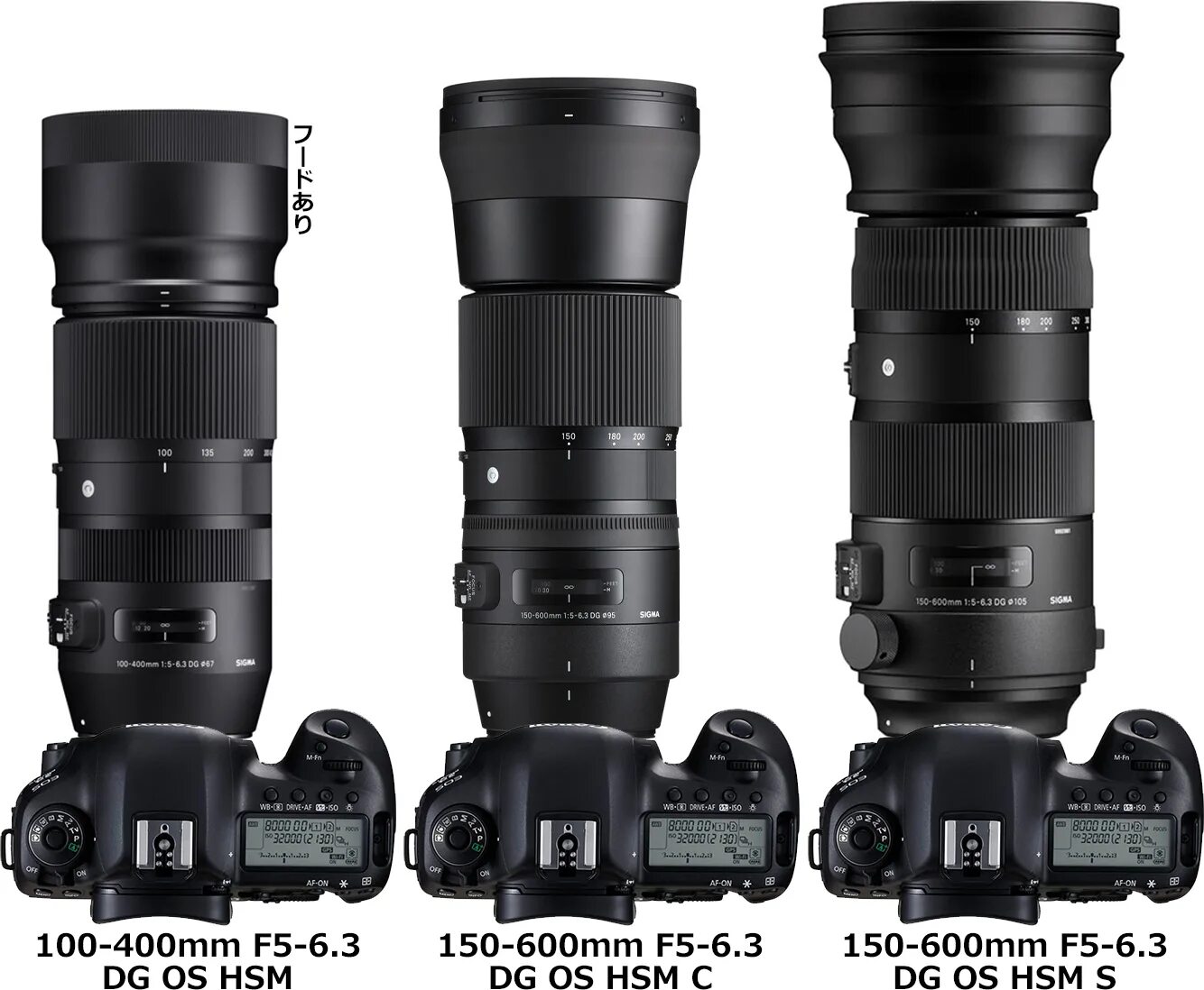 Sigma 150-600mm. Sigma 150-600. Sigma 150-600mm f / 5-6.3 DG os HSM. Sigma 150-600mm Canon.