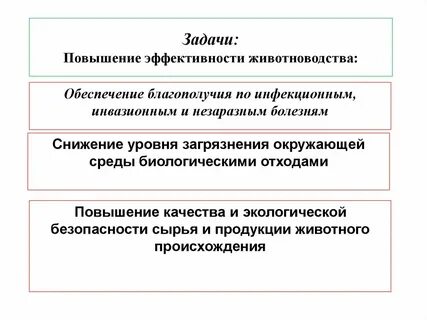 Задачи развития животноводства