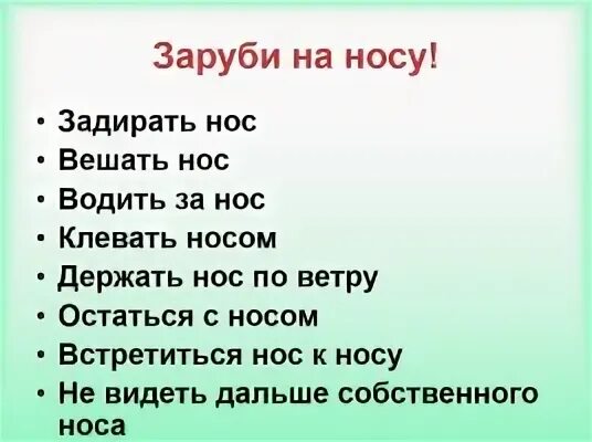 Не видеть дальше своего носа значение