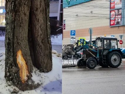 Придет ли новый