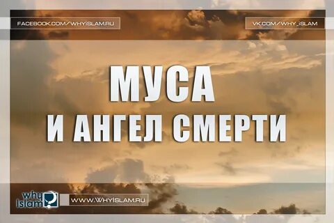 Пророк муса