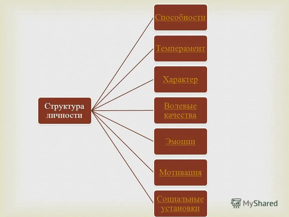 Ступени человеческого века