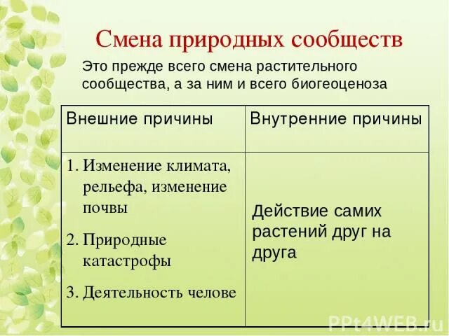 Биология 7 класс растительное сообщество пересказ. Смена сообществ примеры. Природные сообщества. Смена природных сообществ. Природные сообщества таблица.