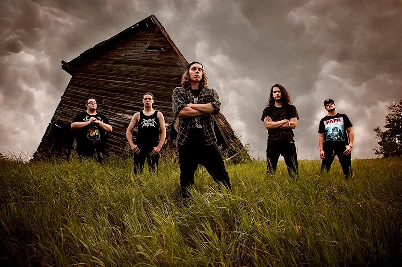 Амарант рок группа. Suidakra lupine. Blackguard канадская группа. Noumena группа. Melodic metal группы.