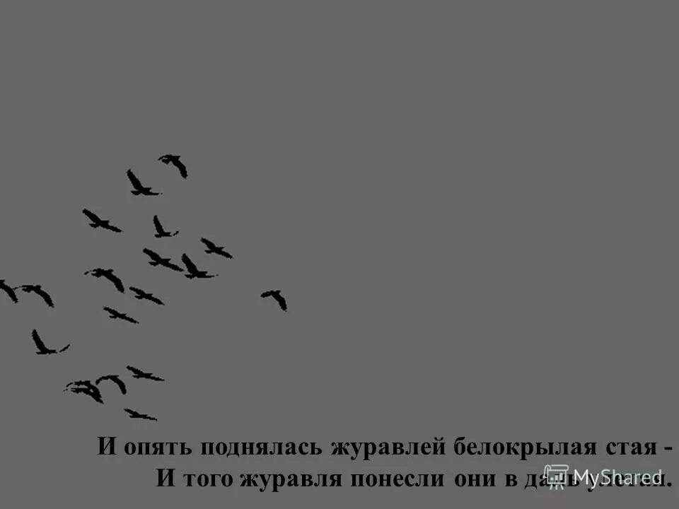каждый год возвращаются журавли из далеких