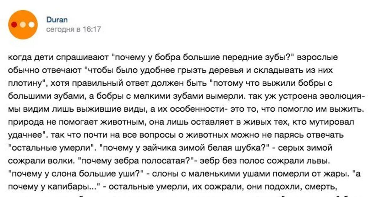 Спрашивают почему без. Когда дети спрашивают почему у бобра большие передние зубы. Будешь задавать много вопросов выживет твой молчаливый брат. Почему выживет твой молчаливый брат. Когда дети спрашивают почему.