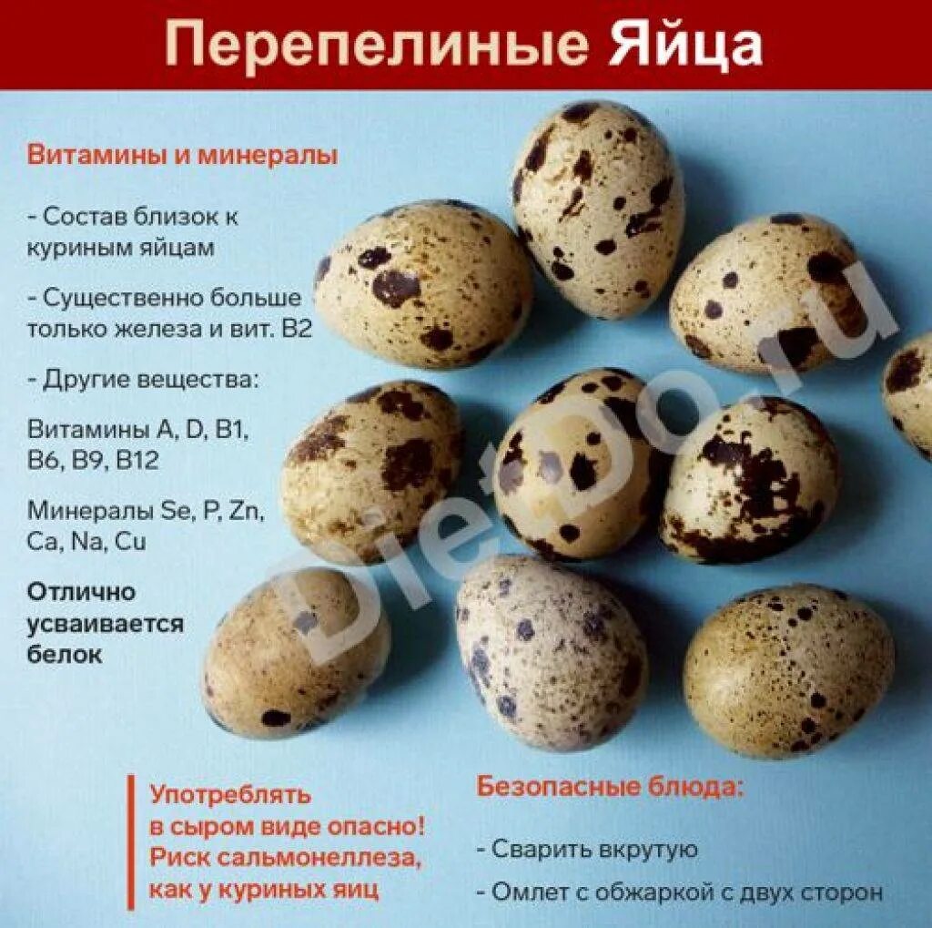 Можно ли есть сырые перепелиные. Чем пллезны пнрепелиные яцуп. чем полезны перепелиные яйца. что полезного в перепелиных яйцах. яйцо перепелиное.