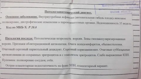 Беременность после антенатальной гибели