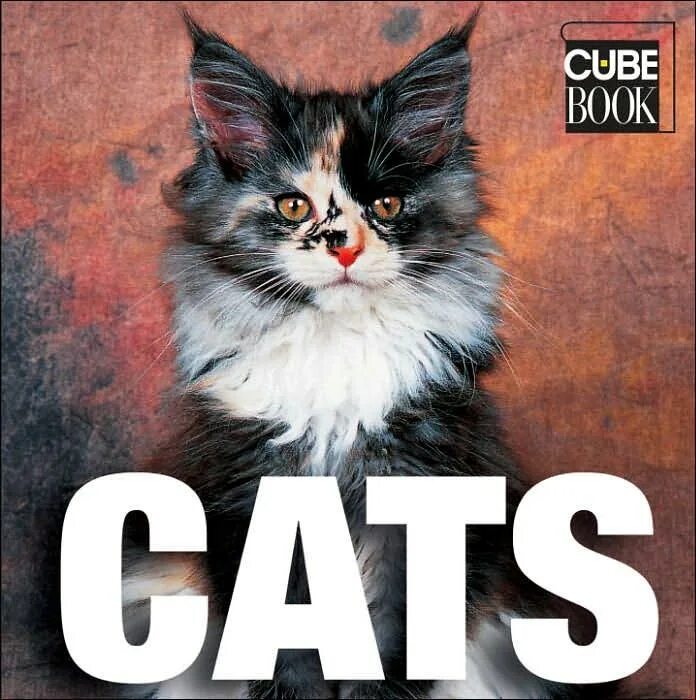 Cube cats. Cat Cube. Maxwell the Cat куб.