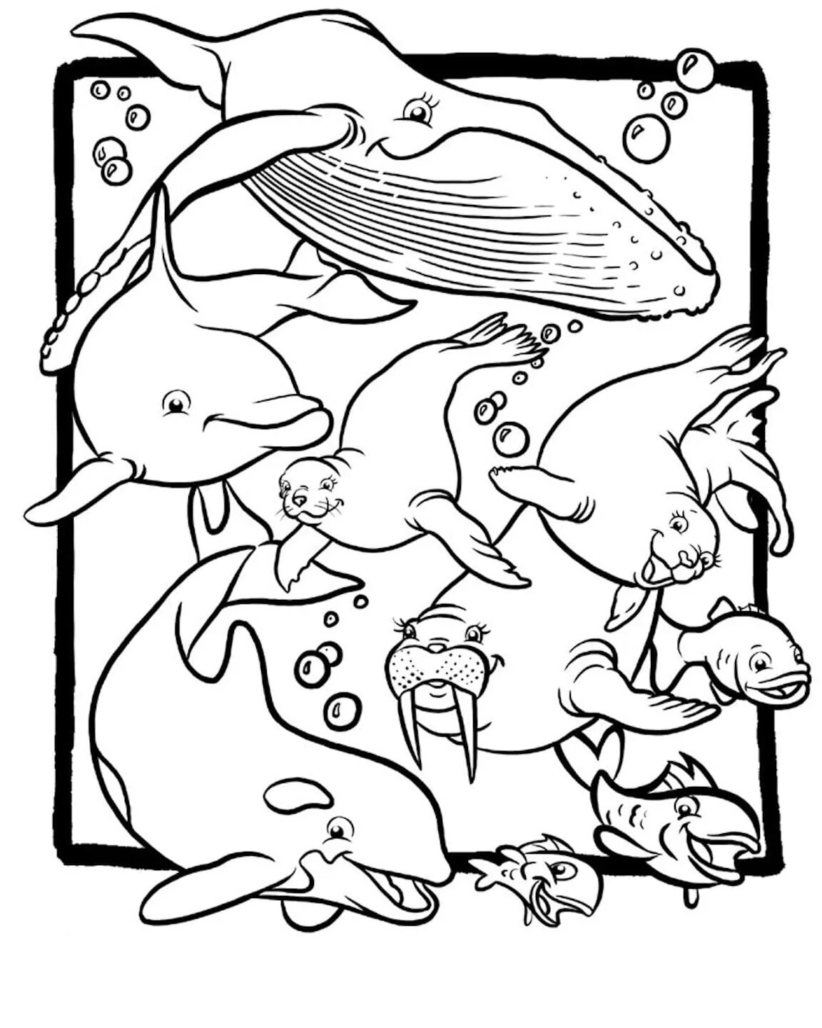 Раскраски обитатели морей. Раскраска морские обитатели. Подводный мир раскраска для детей. Раскраски на морскую тему. Обитатели океана раскраска.
