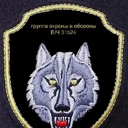 Группа охраны 2