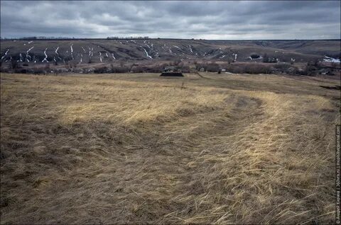 Воронежская обл отзывы