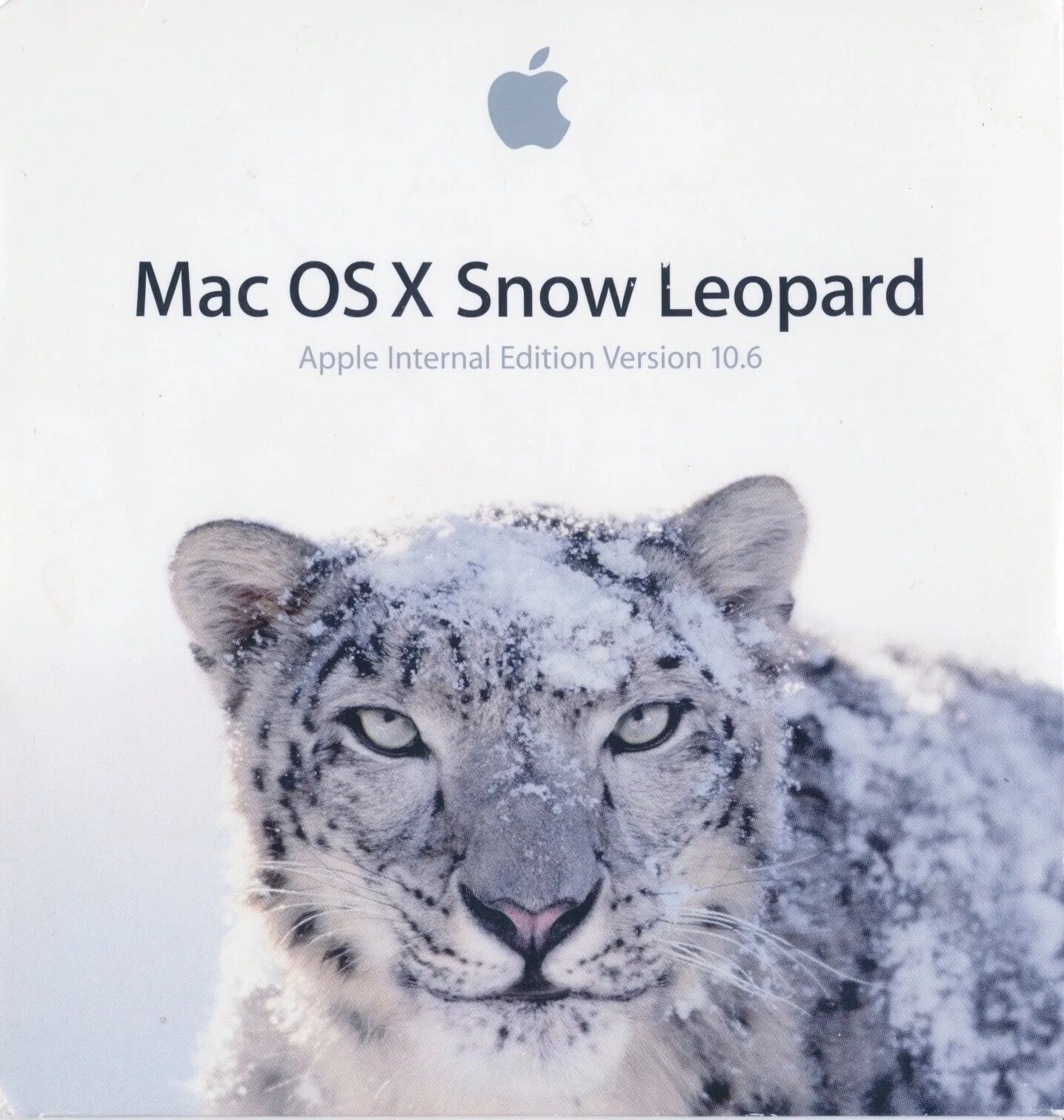 Snow leopard кондиционер. Mac os x 10. Mac os x v10. Mac os snow leopard. 6 snow leopard интерфейс.