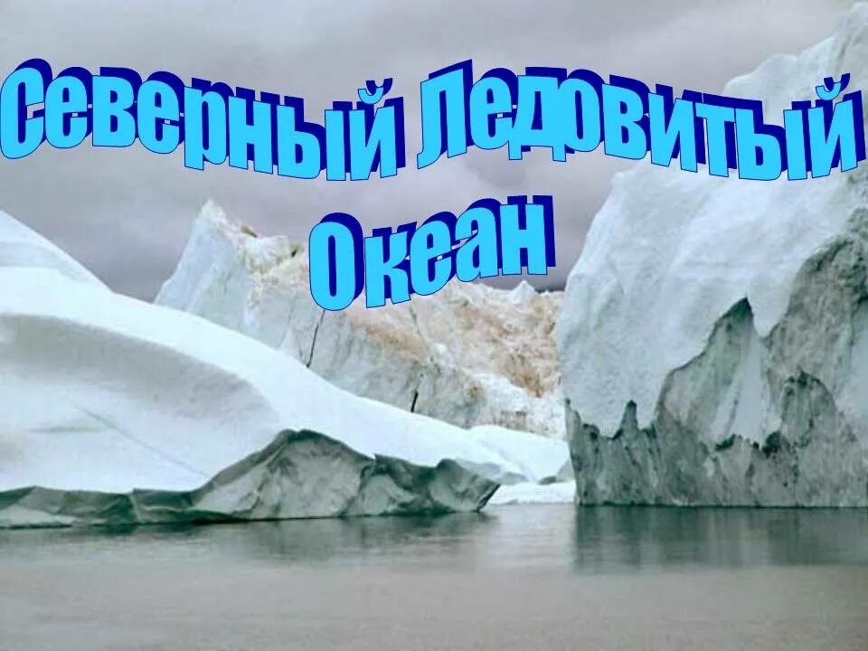 Северный Ледовитый океан проект. Северный Ледовитый океан презентация 7 класс география. Презентация Северный. Северно Ледовитый океан доклад. Океан северного ледовитого презентация