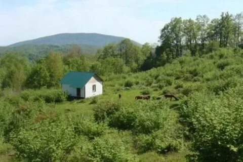Поляна тай
