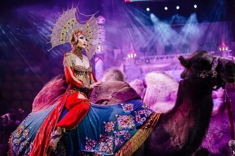 Королевский цирк гии эрадзе 2024