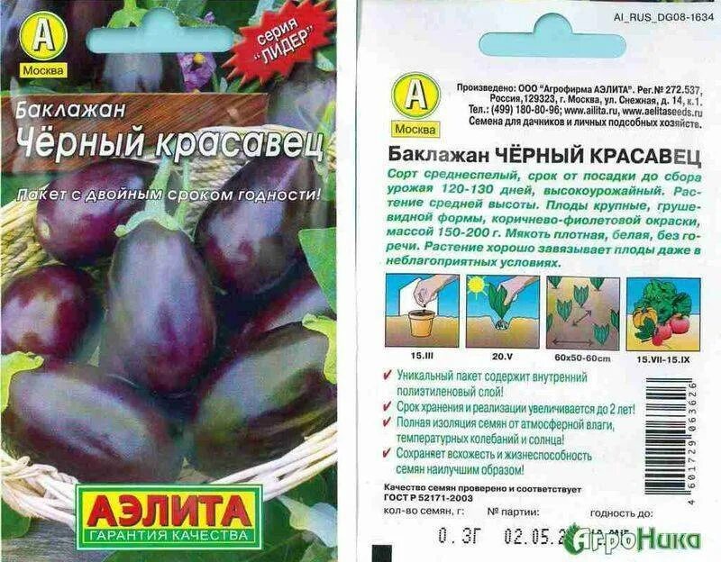 Баклажан черный красавец русский огород. Баклажан сорт черный красавец. Семена баклажан черный красавец. Семена баклажан черный красавец. Баклажан сорт черный красавец.
