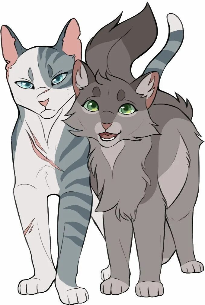 Голубка коты. Ivypool коты воители. climbtothestars коты воители. warriors cats ivypool. коты воители голубка.