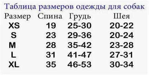 Как определить размер собачки