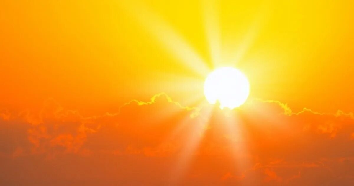 Восход солнца силуэт. Солнце встает. Только тот знает солнце. Только тот знает солнце. Только тот знает солнце.