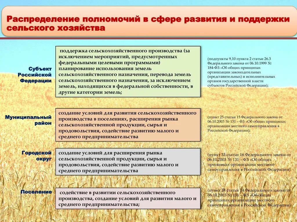 Принципы организации сельскохозяйственного производства. Направление развития сельскохозяйственного производства. План по развитию сельского хозяйства,. Законодательство РФ О сельском хозяйстве. Условия сельскохозяйственного производства