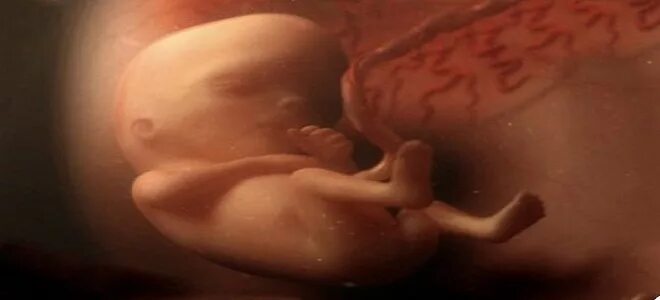 на 22 неделе беременности как шевелится