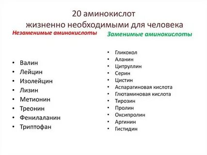 20 заменимых аминокислот