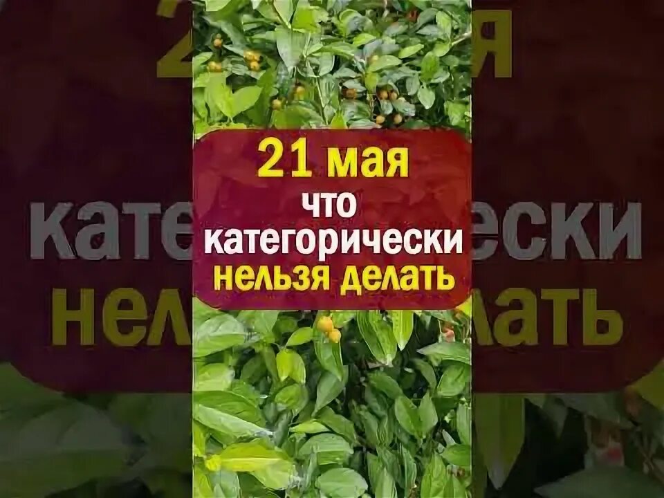 14 августа что нельзя делать народные приметы. 14 августа что нельзя делать народные приметы