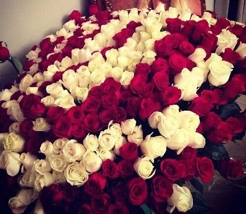 flowers, rose, and red image Beautiful bouquet of flowers, Flowers bouquet gift,